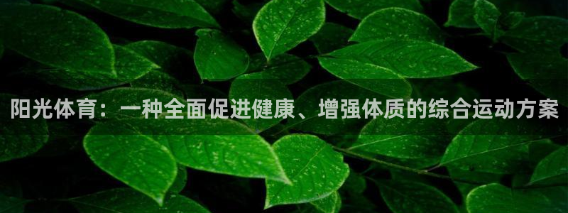 vsport体育在线官网：阳光体育：一种全面促进健康、增强体质的综合运动方案