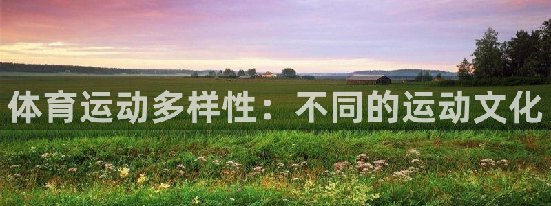 vsport体育：体育运动多样性：不同的运动文化