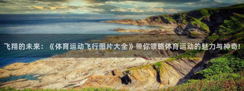 vsport体育：飞翔的未来：《体育运动飞行图片大全》带你领略体育运动的魅力与神奇!