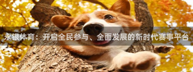 vsport体育在线官网：永银体育：开启全民参与、全面发展的新时代赛事平台