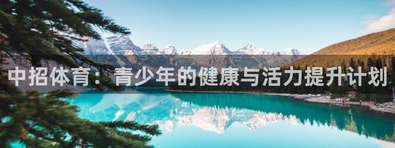 vsport体育在线官网：中招体育：青少年的健康与活力提升计划