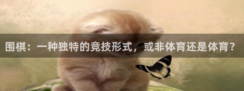 vsport体育在线官网：围棋：一种独特的竞技形式，或非体育还是体育？