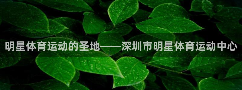 vsport体育：明星体育运动的圣地——深圳市明星体育运动中心