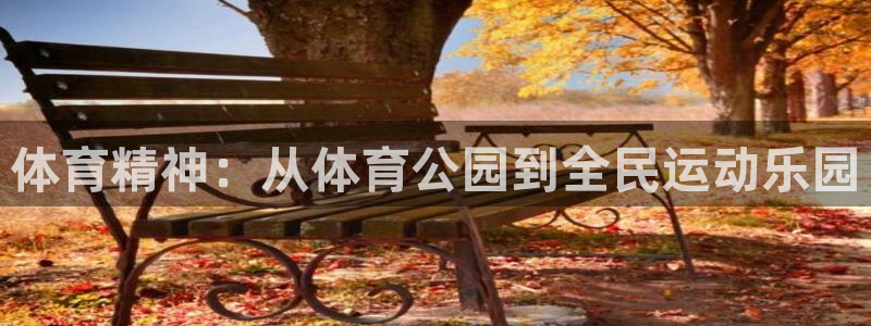 vsport体育在线官网：体育精神：从体育公园到全民运动乐园