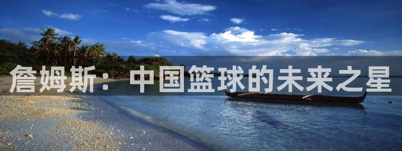 vsport体育在线官网：詹姆斯：中国篮球的未来之星