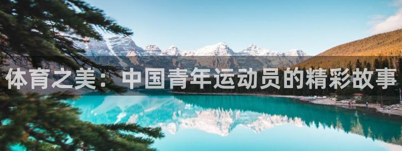 vsport体育：体育之美：中国青年运动员的精彩故事
