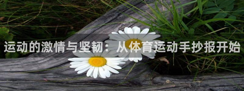 vsport体育在线官网：运动的激情与坚韧：从体育运动手抄报开始